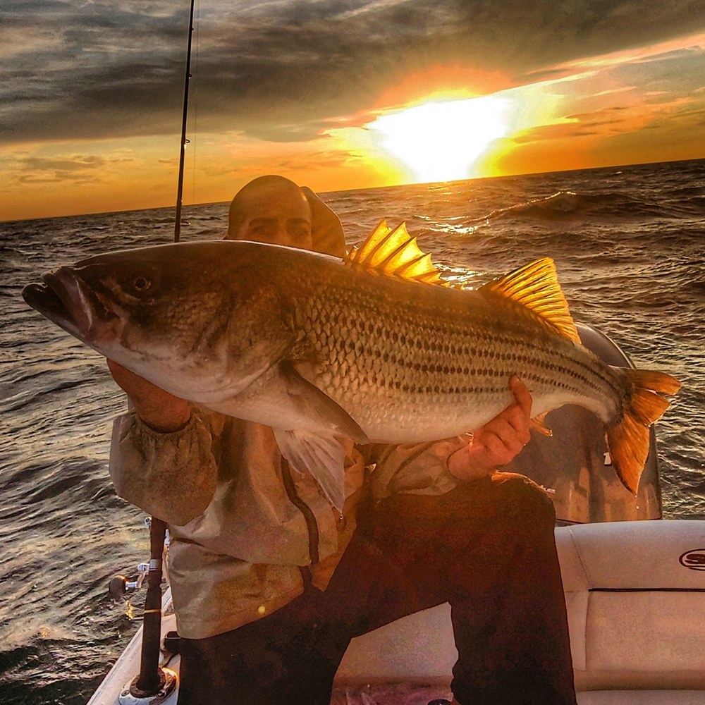 Meet your Posher, Gabe